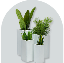 PLANT POTS & STANDS