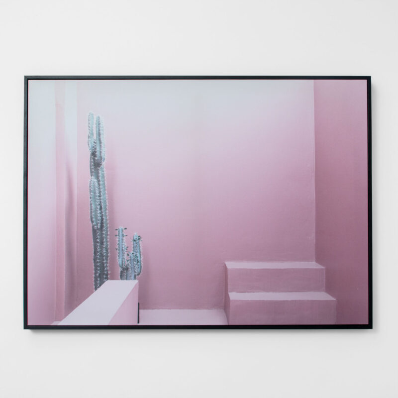 MINIMAL CACTUS FRAMED CANVAS