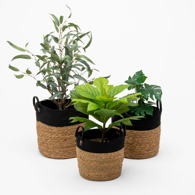 SET OF THREE WOVEN BASKETS - Image 2
