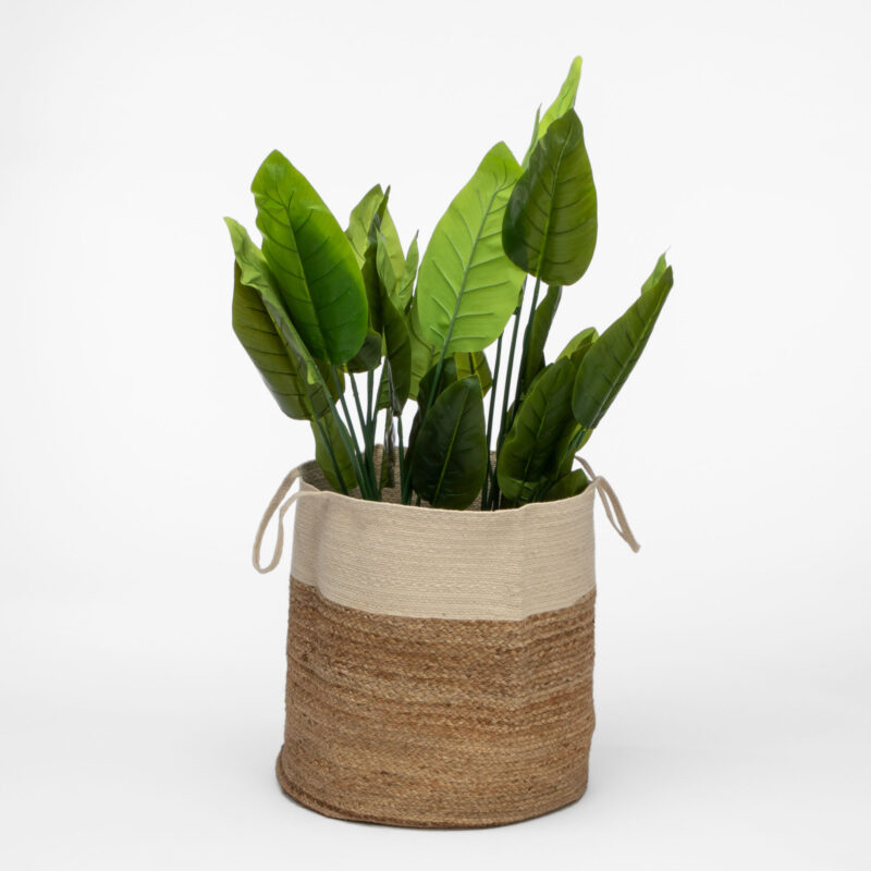 ROUND BRAIDED BASKET WITH HANDLES - Image 2