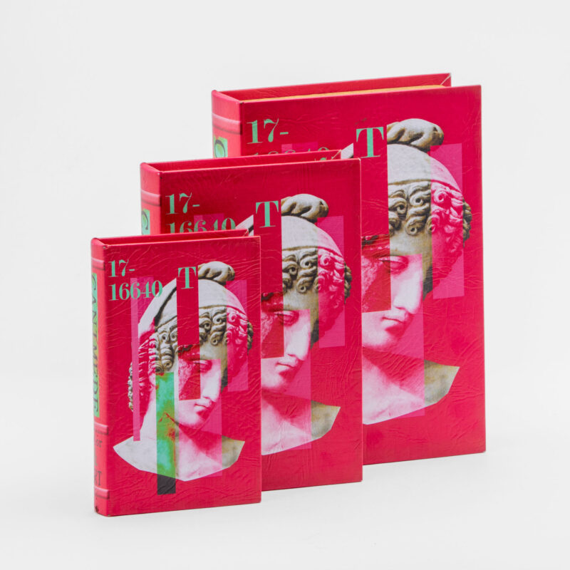 SET OF 3 DECORATIVE BOOK - Image 7