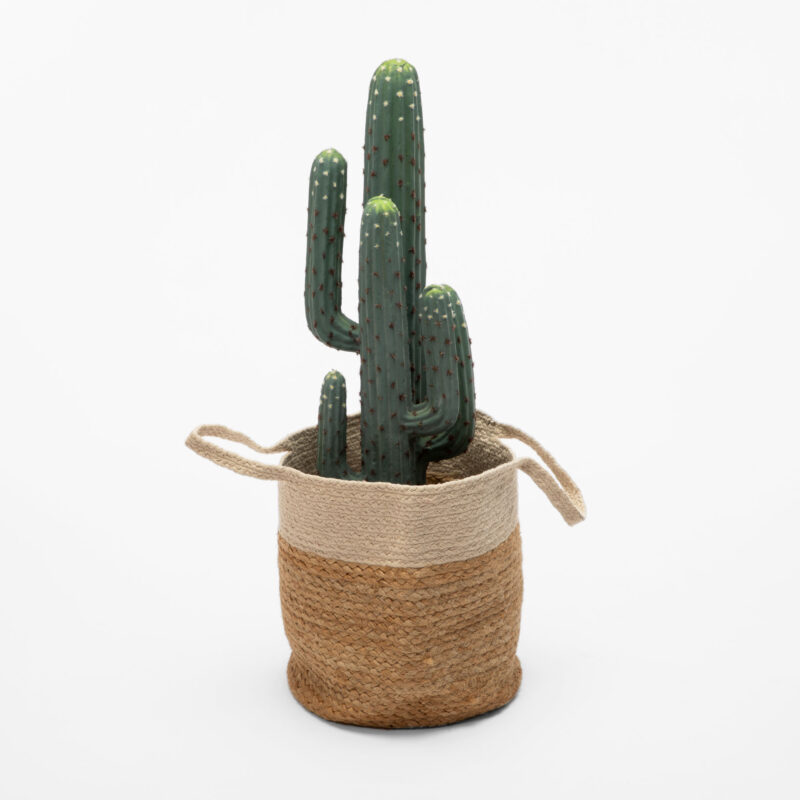 ROUND BRAIDED BASKET WITH HANDLES - Image 3