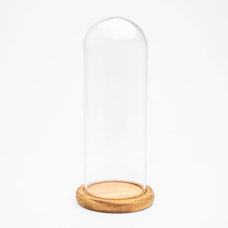 GLASS DOME WITH WOODEN TRAY