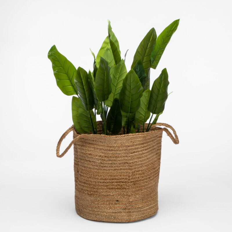 ROUND BRAIDED BASKET WITH HANDLES - Image 4