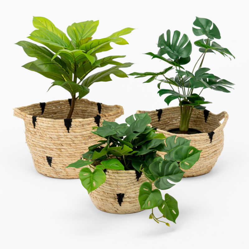 SET OF THREE WOVEN BASKETS - Image 3