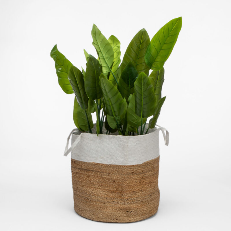 ROUND BRAIDED BASKET WITH HANDLES - Image 6
