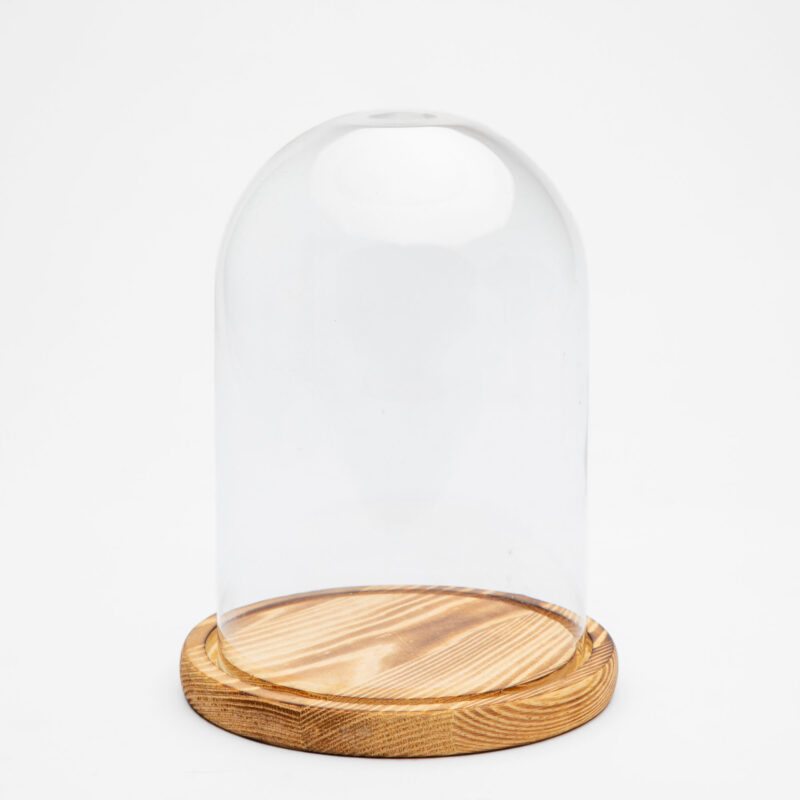 GLASS DOME WITH WOODEN TRAY