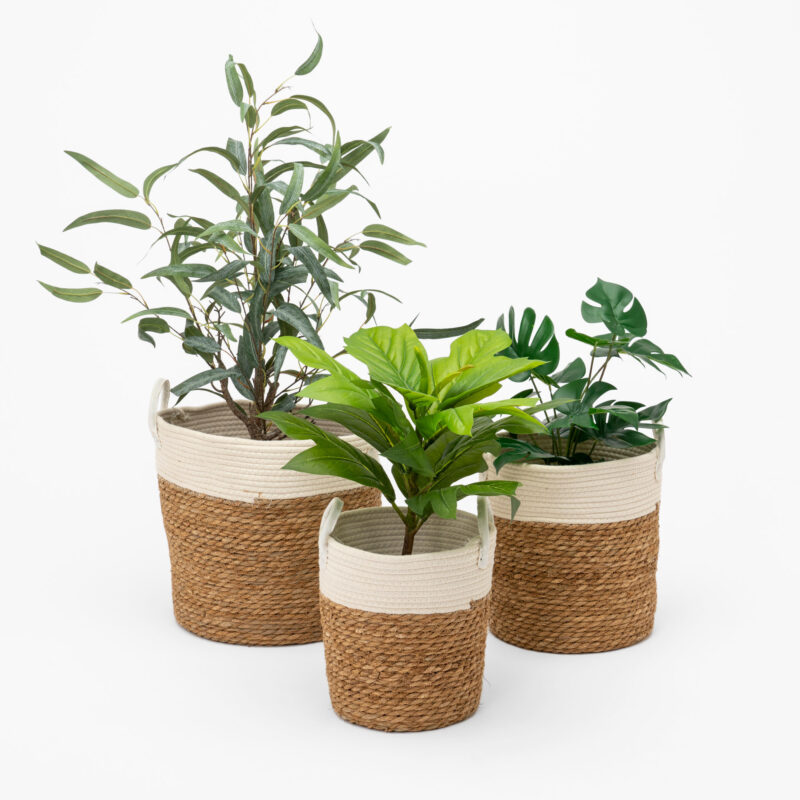 SET OF THREE WOVEN BASKETS - Image 3