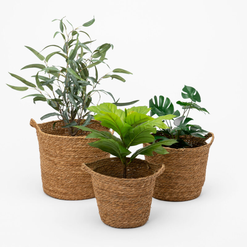 SET OF THREE WOVEN BASKETS - Image 2