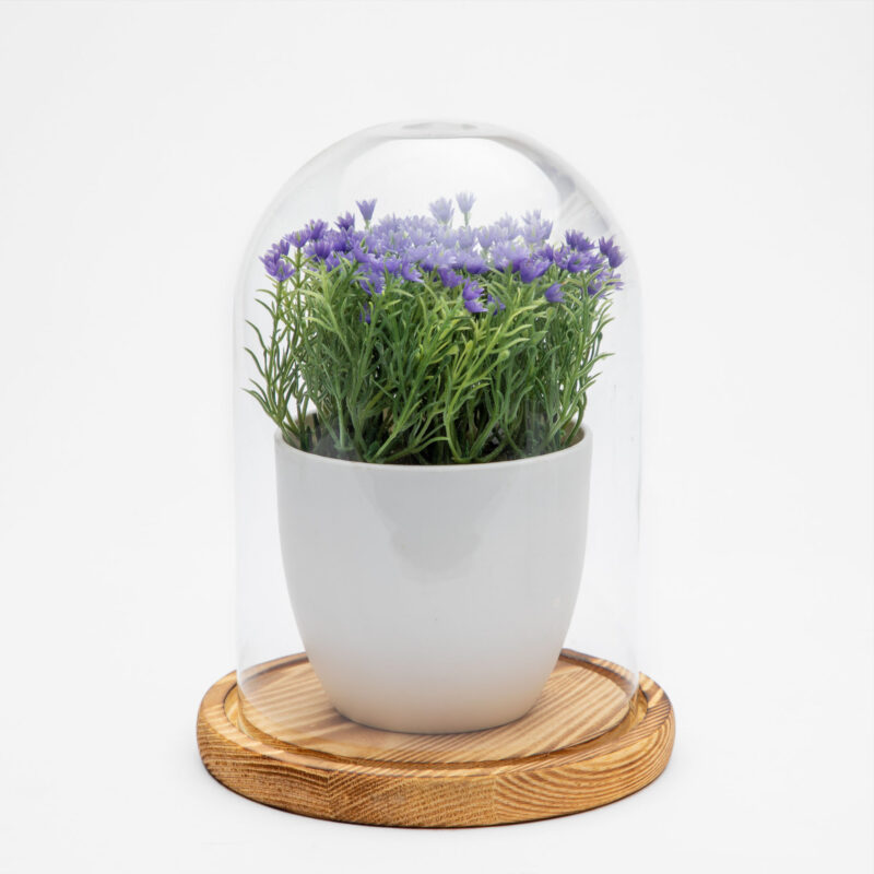 GLASS DOME WITH WOODEN TRAY - Image 2