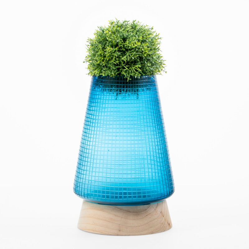 GLASS VASE WITH WOODEN BASE - Image 3