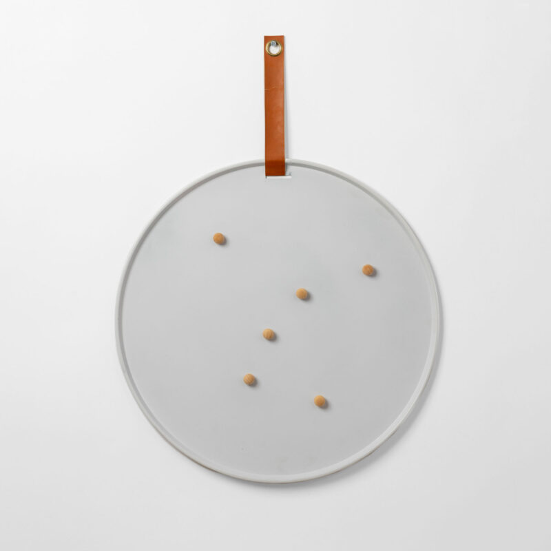 METAL MEMO BOARD WITH MAGNETIC PINS