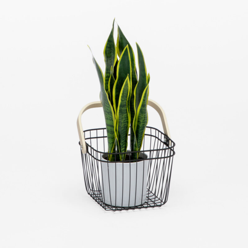 WIRE METAL BASKET WITH WOODEN HANDLE - Image 2