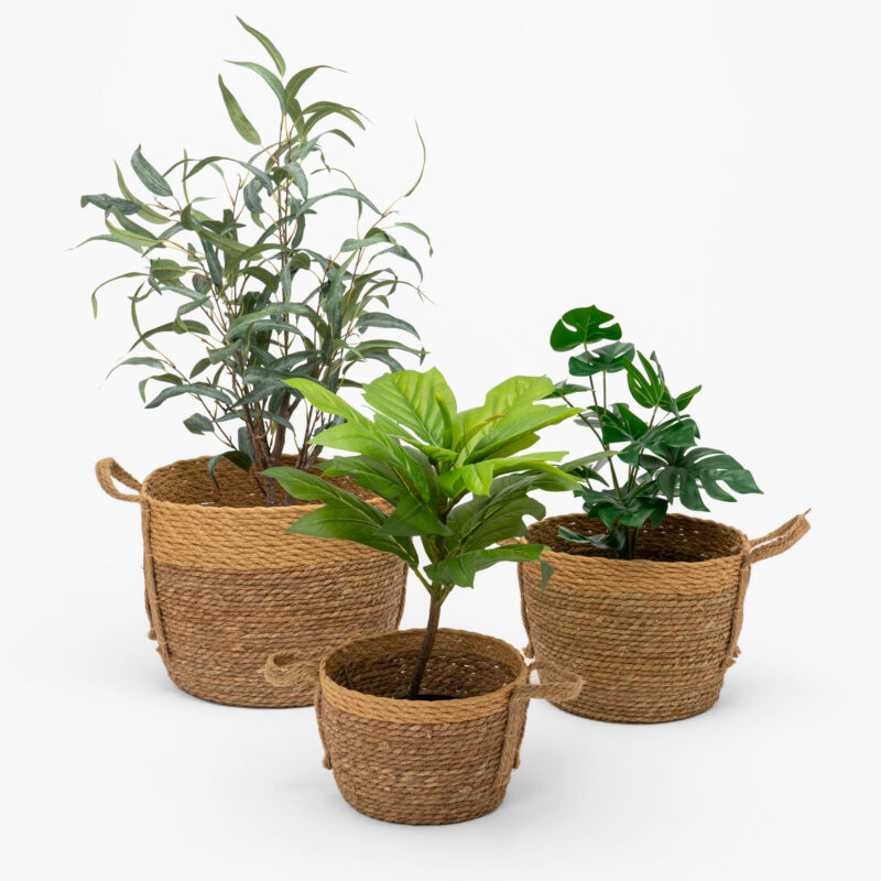 SET OF THREE WOVEN BASKETS - Image 2