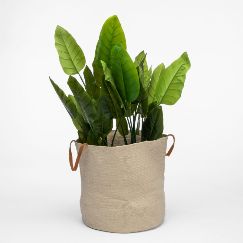 ROUND BRAIDED BASKET WITH HANDLES - Image 2