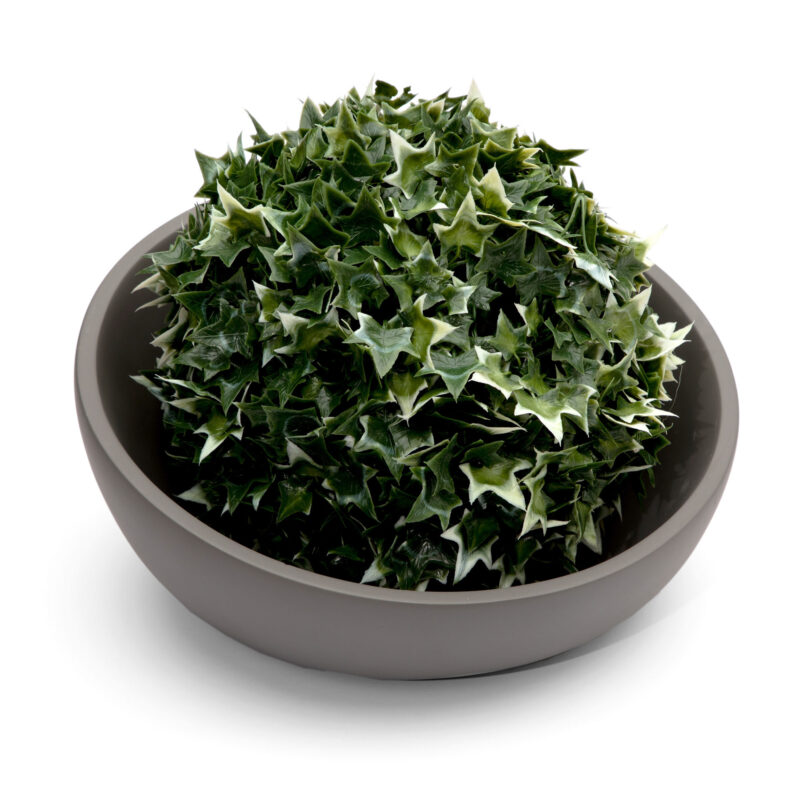 CONCRETE IRREGULAR BOWL - Image 4