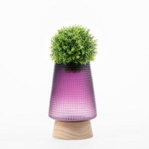 GLASS VASE WITH WOODEN BASE - Image 2