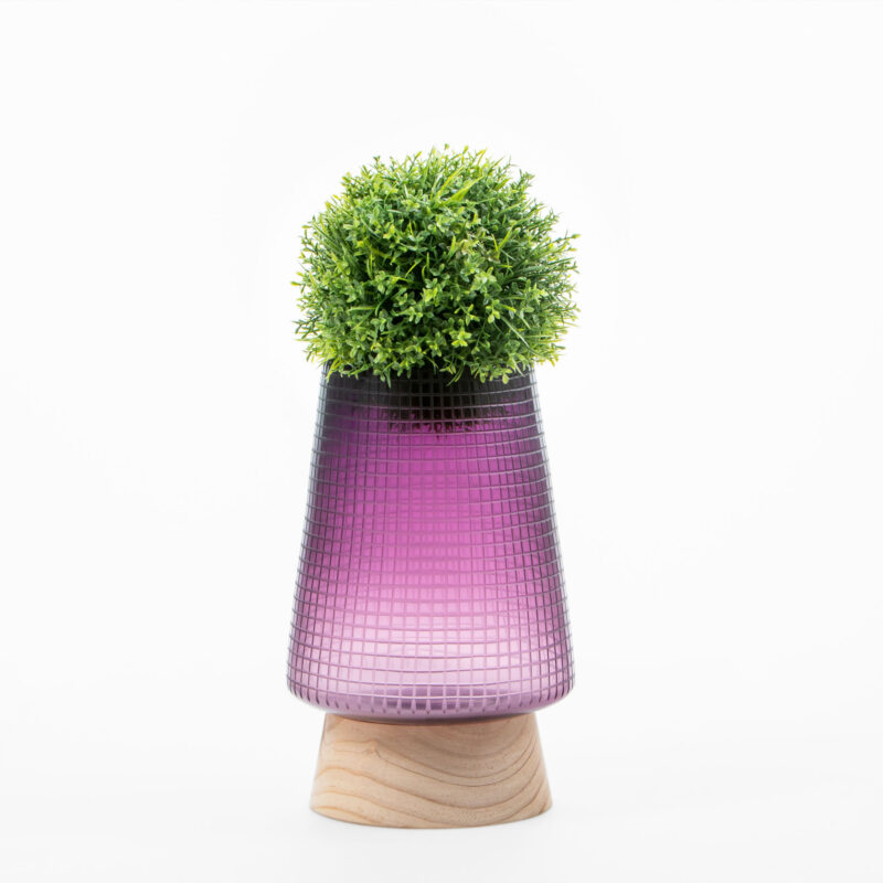 GLASS VASE WITH WOODEN BASE - Image 2
