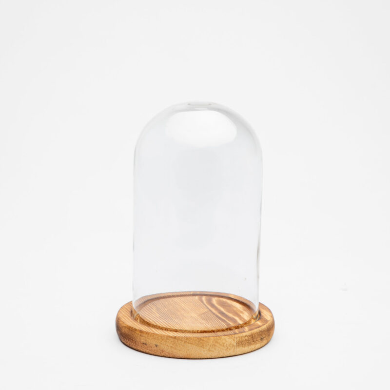 GLASS DOME WITH WOODEN TRAY
