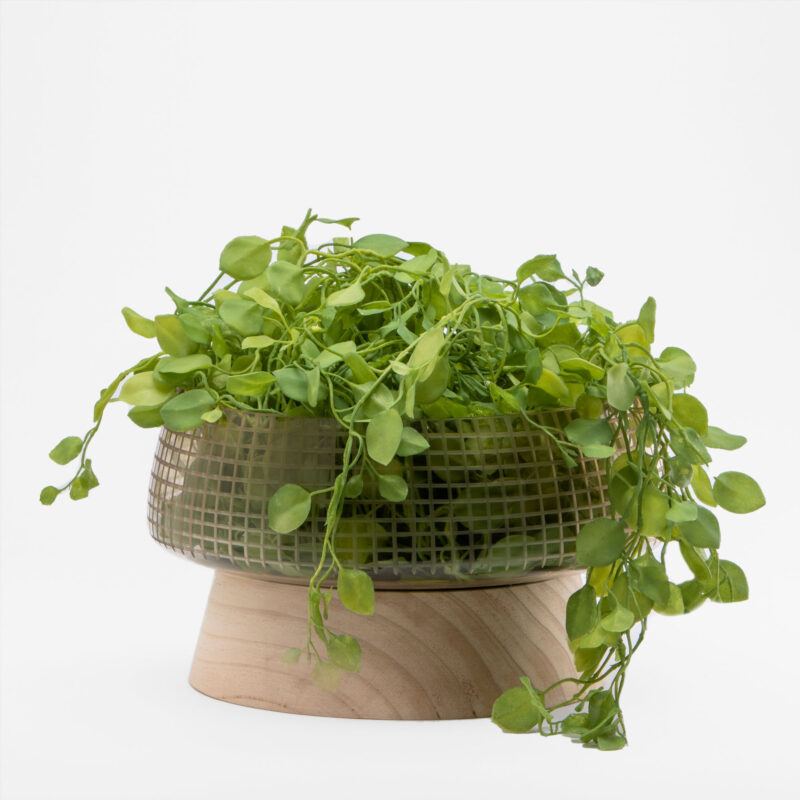 GLASS VASE WITH WOODEN BASE - Image 2