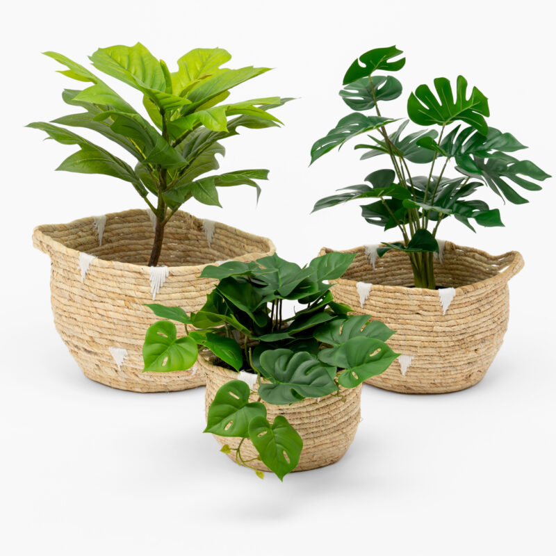 SET OF THREE WOVEN BASKETS - Image 2