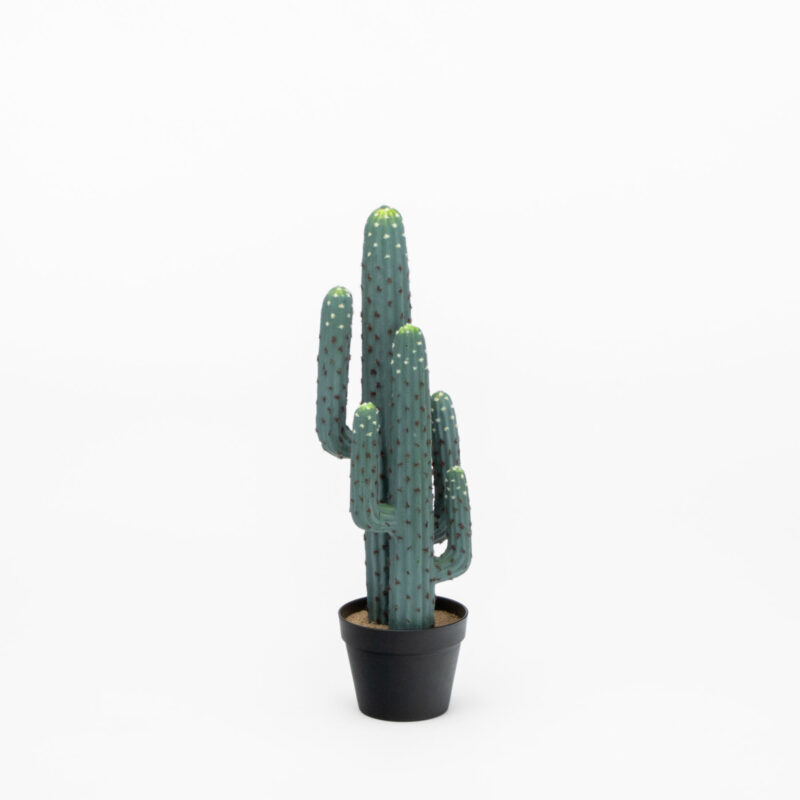 ARTIFICIAL CACTUS IN PLASTIC POT