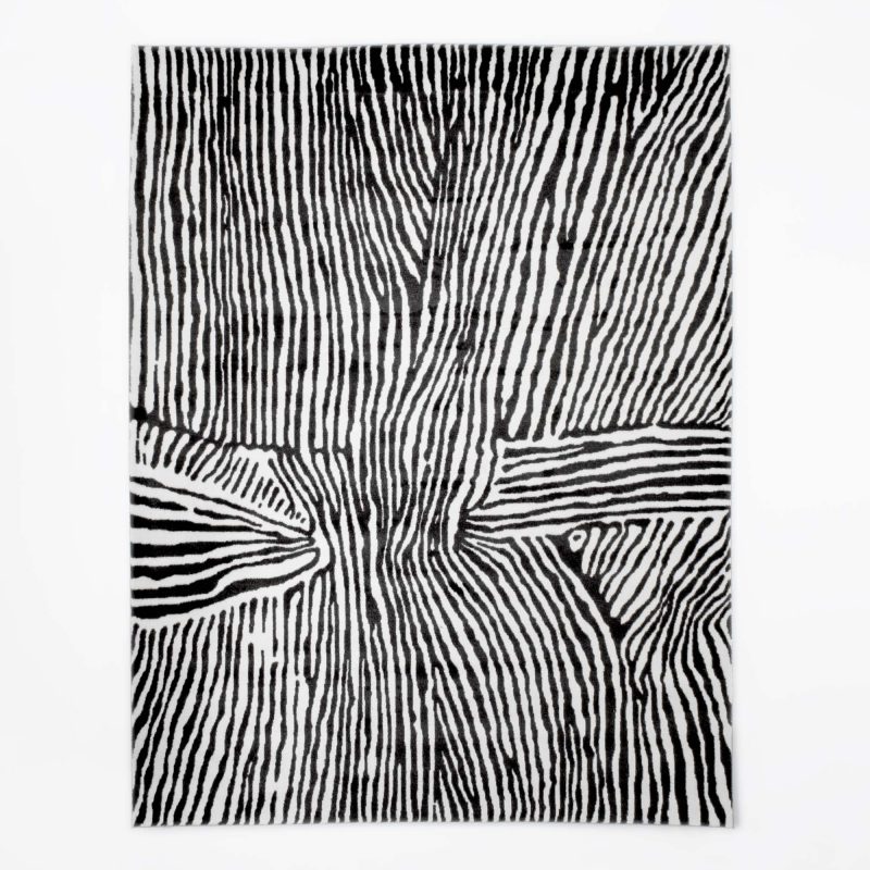 RUGS