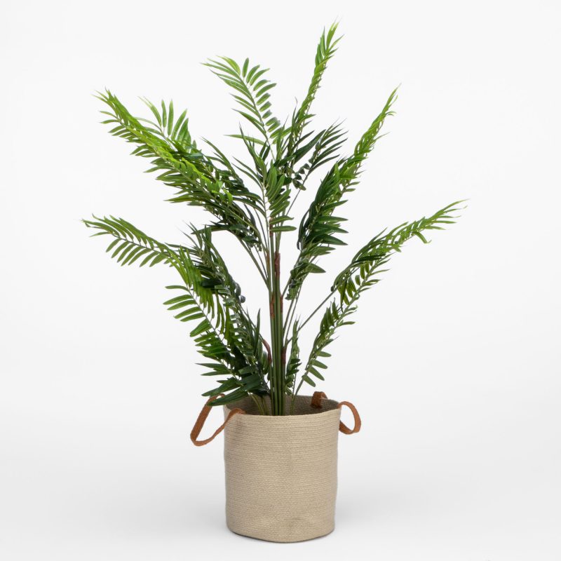 ROUND BRAIDED BASKET WITH HANDLES - Image 3